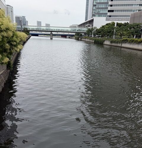 本日の定休日は、、、