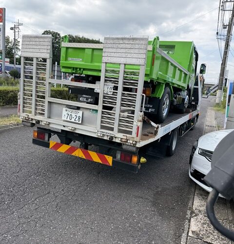 新しく仲間入り✨