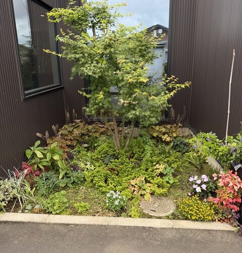 点検3件！