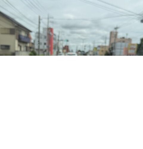この写真しか、、、